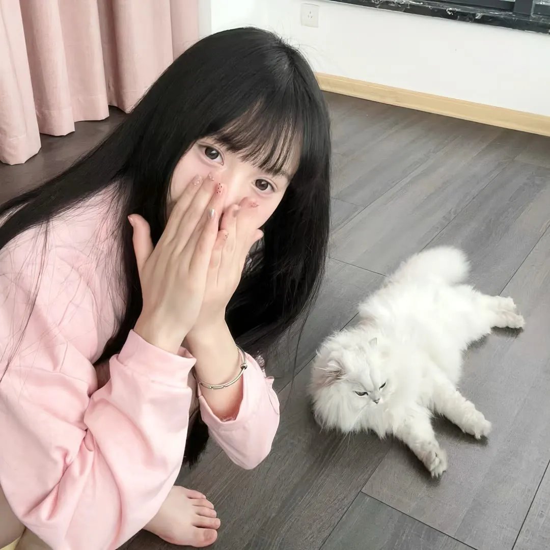 朋友圈